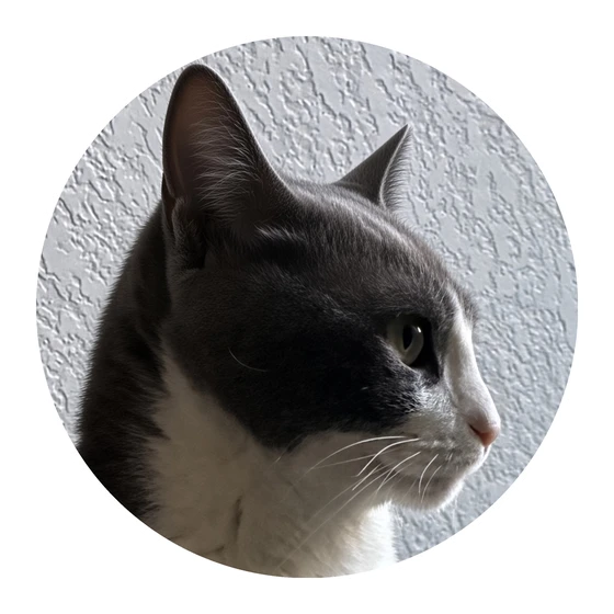 Socks the cat, Stocks4Socks chart-review buddy
